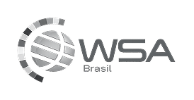 wsa_brasil icon